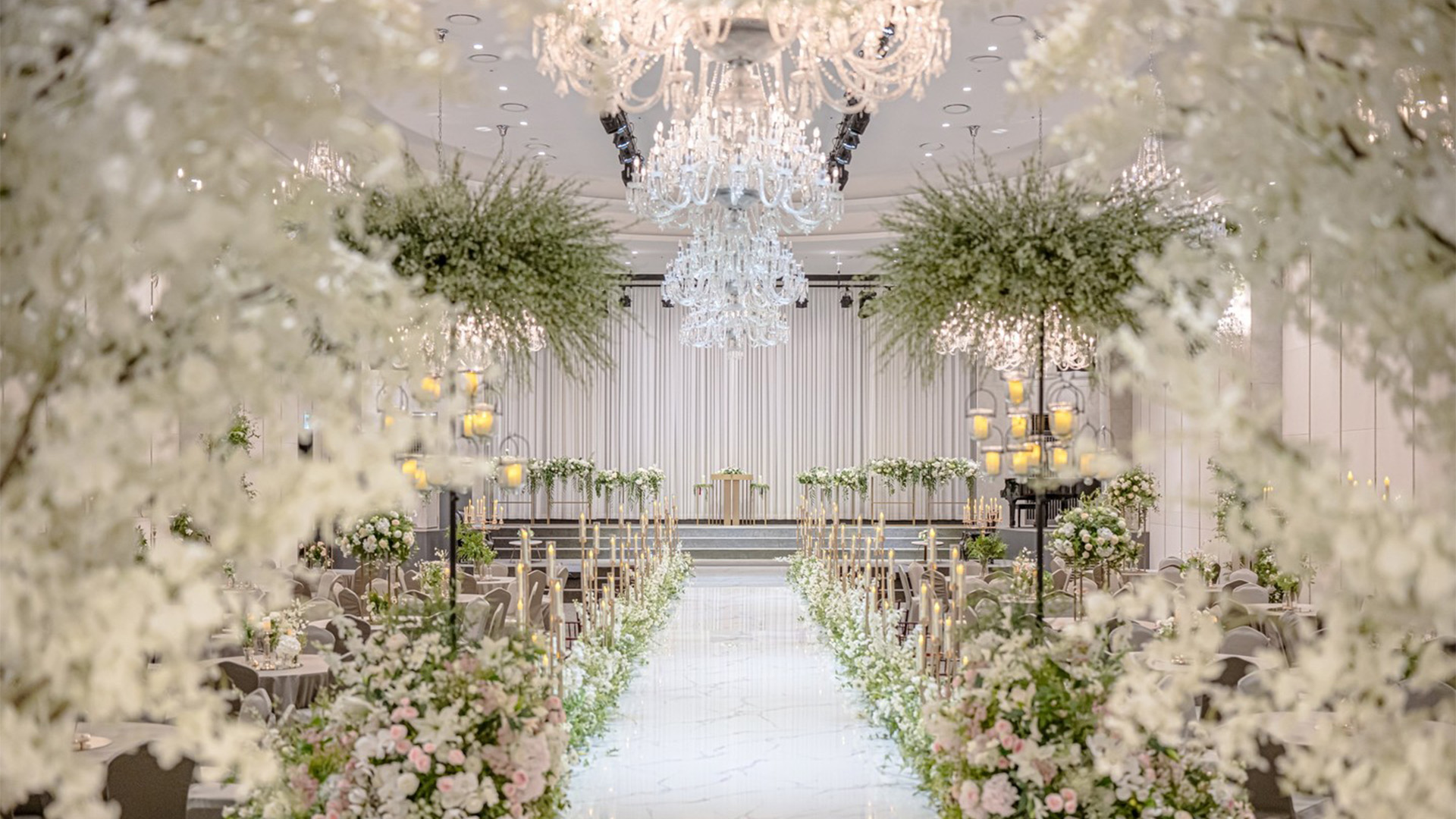 그랜드모먼트화이트홀